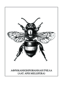 Инсектарикум — фото, картинка — 6