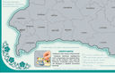 Скрэтч-карта Рэспублікі Беларусь (70х60 см) — фото, картинка — 3