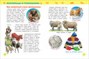 Животные фермы. Энциклопедия для детского сада — фото, картинка — 2