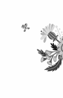 Без ума от тебя — фото, картинка — 1