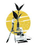 Чай. От листа до чашки. Все, что нужно знать о сортах, заваривании и дегустации тем, для кого чай не просто напиток — фото, картинка — 14