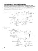 Портреты животных. Рисуем в японской авторской технике — фото, картинка — 2