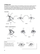 Портреты животных. Рисуем в японской авторской технике — фото, картинка — 4