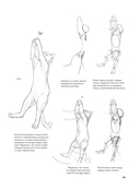 Портреты животных. Рисуем в японской авторской технике — фото, картинка — 6