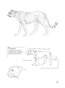 Портреты животных. Рисуем в японской авторской технике — фото, картинка — 9