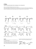 Портреты животных. Рисуем в японской авторской технике — фото, картинка — 10