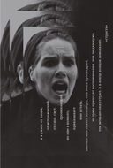 Бергман — фото, картинка — 3