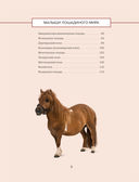 Лошади. Иллюстрированный гид по самым популярным породам — фото, картинка — 2