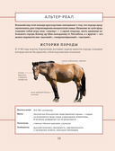 Лошади. Иллюстрированный гид по самым популярным породам — фото, картинка — 16