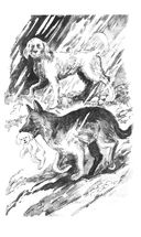 Хроники Стаи. Собачья гроза — фото, картинка — 2