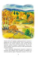 Русский лес — фото, картинка — 4
