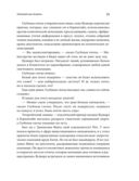 Что видела собака — фото, картинка — 23