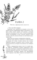 Костры из лаванды и лжи — фото, картинка — 13