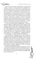 Костры из лаванды и лжи — фото, картинка — 8