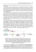 Глубокое обучение без математики. Том 1. Основы — фото, картинка — 23