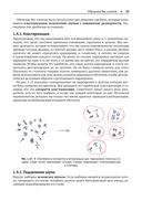 Глубокое обучение без математики. Том 1. Основы — фото, картинка — 31