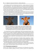 Глубокое обучение без математики. Том 1. Основы — фото, картинка — 32