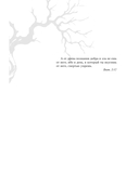 Сумерки. Подарочное издание — фото, картинка — 17