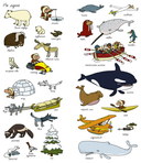 Найди и покажи. Вокруг света — фото, картинка — 2