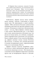 Река сознания — фото, картинка — 7