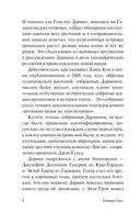 Река сознания — фото, картинка — 8