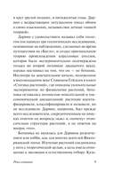 Река сознания — фото, картинка — 9