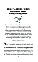 Обрезка и подкормка — фото, картинка — 18