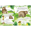 Вомбат. Интервью вприпрыжку — фото, картинка — 2