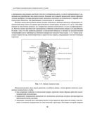 Остеохондроз позвоночника. Методики немедикаментозного лечения болей в спине — фото, картинка — 17