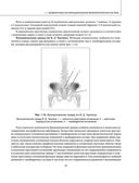 Остеохондроз позвоночника. Методики немедикаментозного лечения болей в спине — фото, картинка — 20