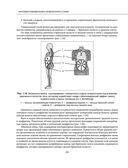 Остеохондроз позвоночника. Методики немедикаментозного лечения болей в спине — фото, картинка — 23