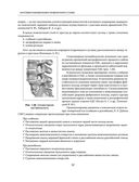 Остеохондроз позвоночника. Методики немедикаментозного лечения болей в спине — фото, картинка — 31