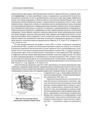 Остеохондроз позвоночника. Методики немедикаментозного лечения болей в спине — фото, картинка — 41