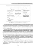 Остеохондроз позвоночника. Методики немедикаментозного лечения болей в спине — фото, картинка — 44
