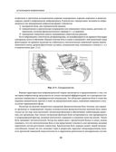 Остеохондроз позвоночника. Методики немедикаментозного лечения болей в спине — фото, картинка — 49