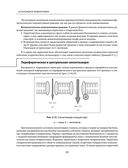 Остеохондроз позвоночника. Методики немедикаментозного лечения болей в спине — фото, картинка — 51