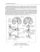 Остеохондроз позвоночника. Методики немедикаментозного лечения болей в спине — фото, картинка — 57