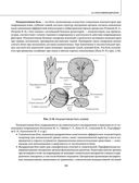 Остеохондроз позвоночника. Методики немедикаментозного лечения болей в спине — фото, картинка — 58
