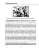 Остеохондроз позвоночника. Методики немедикаментозного лечения болей в спине — фото, картинка — 81