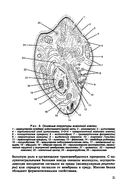 Биология для поступающих в вузы — фото, картинка — 21