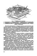 Биология для поступающих в вузы — фото, картинка — 22