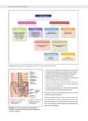 Анатомия йоги: раскраска. Изучите форму и биомеханику более чем 50 асан — фото, картинка — 7