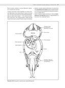 Анатомия йоги: раскраска. Изучите форму и биомеханику более чем 50 асан — фото, картинка — 10