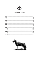 Осколки — фото, картинка — 6