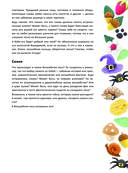 Лес чудес из пластилина. Лепим сказку шаг за шагом из простых форм — фото, картинка — 4