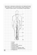 Творческий курс по рисованию — фото, картинка — 10