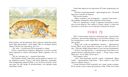 Парящий тигр — фото, картинка — 6