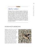 Стильный декор из дерева своими руками. Композиции в технике дрифтвуд: ключницы, карандашницы, интерьерные миниатюры — фото, картинка — 20