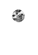 Полуночная роза — фото, картинка — 1