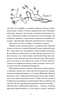 Королевство Бездуш. Академия — фото, картинка — 4